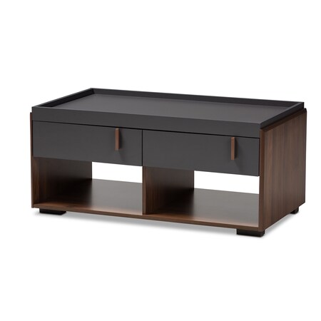 Baxton Studio Rikke Two-Tone Gray and Walnut Finished Wood 2-Drawer Coffee Table 152-9153